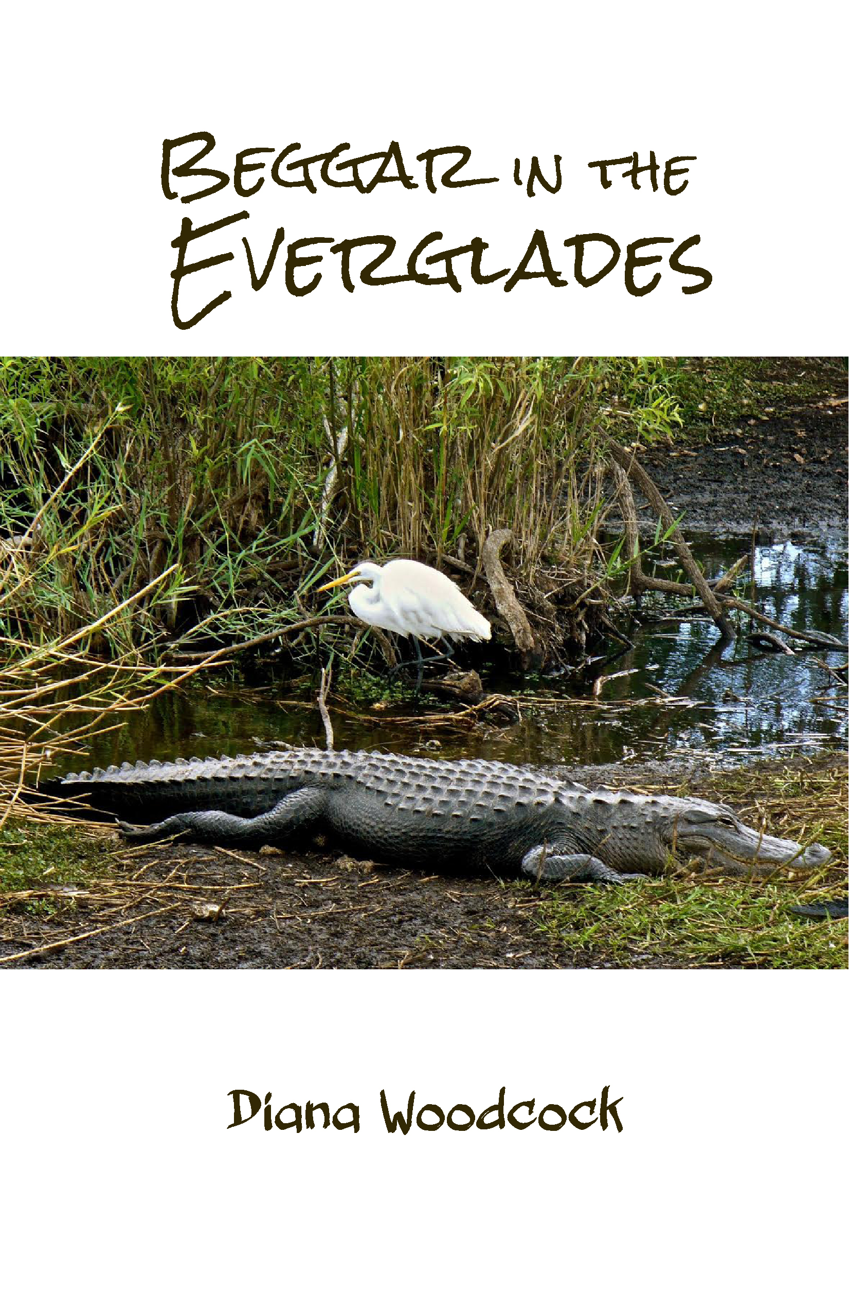 Book cover of BEGGAR IN THE EVERGLADES by Dr. Diana Woodcock.